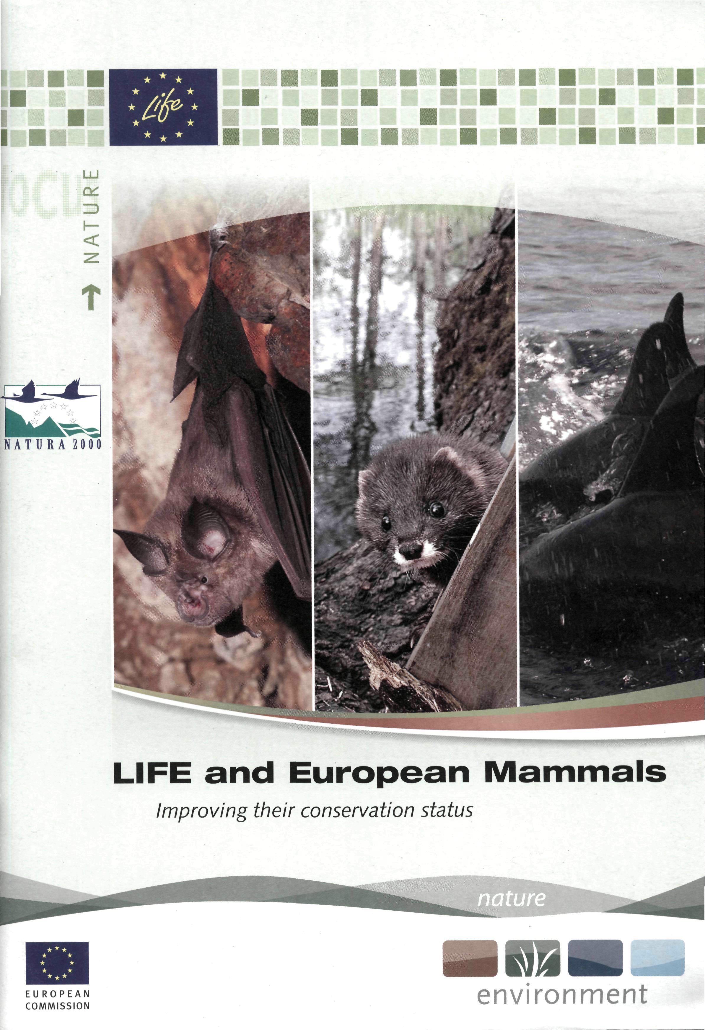 cover08-1